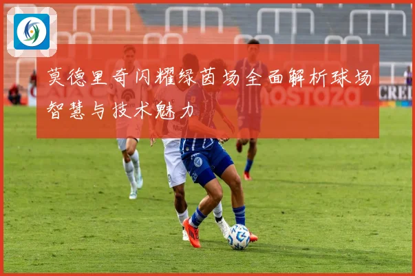 莫德里奇闪耀绿茵场全面解析球场智慧与技术魅力
