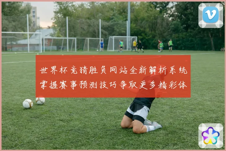 世界杯竞猜胜负网站全新解析系统掌握赛事预测技巧争取更多精彩体数据研判