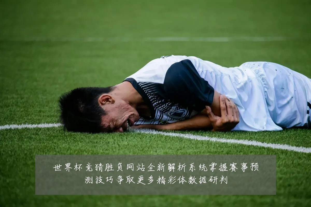 世界杯竞猜胜负网站全新解析系统掌握赛事预测技巧争取更多精彩体数据研判