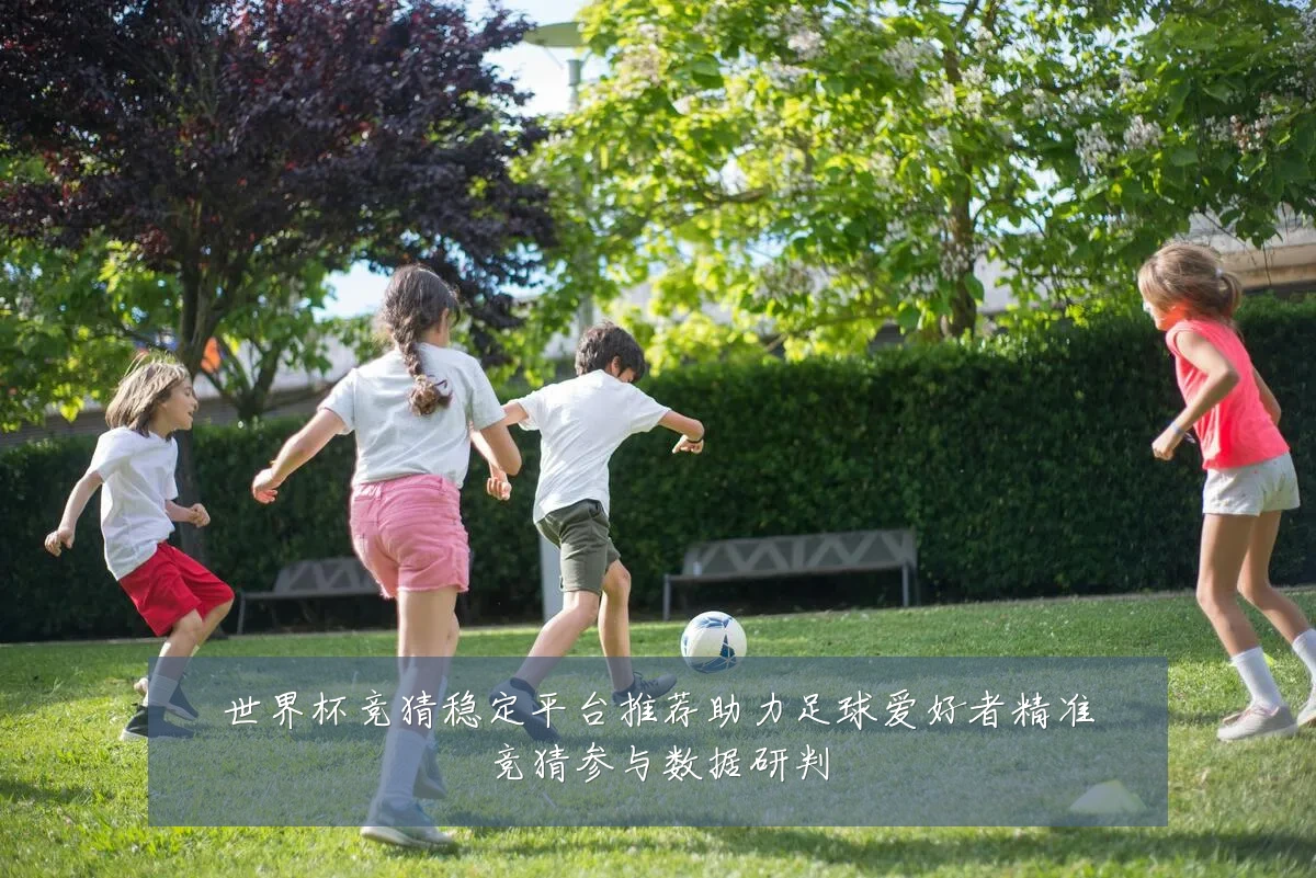 世界杯竞猜稳定平台推荐助力足球爱好者精准竞猜参与数据研判